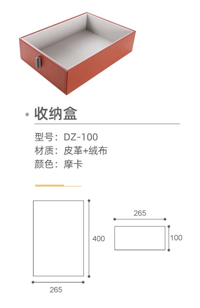 DZ-100-01.jpg